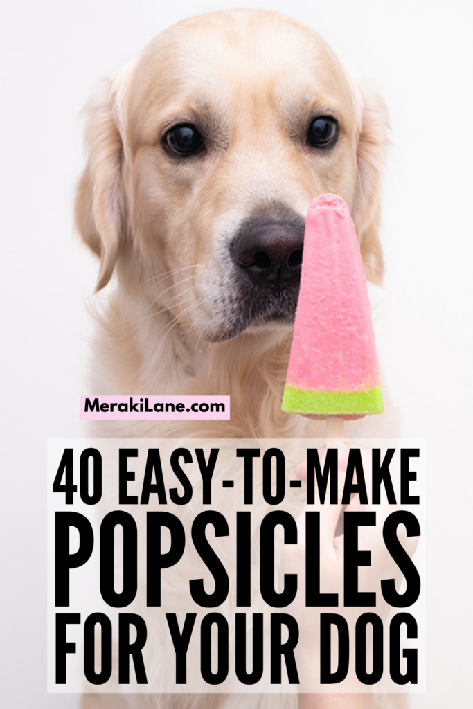 40 Easy and Healthy Homemade Dog Popsicles | If you want to know how to make homemade pupsicles for your pooch, this post is for you! We're sharing out best tips for making easy (and healthy) DIY popsicles your pup will love, and we've also curated 40 simple recipes using ingredients you probably already have on hand. From frozen watermelon and banana strawberry pops, to peanut butter and blueberry 'gourmet' dog treats, these recipes will not disappoint! 